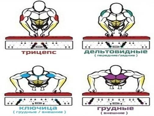 Платформа для отжиманий Original «Urbanfit» 